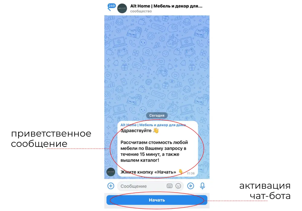 Приветственное сообщение и запуск чат-бота